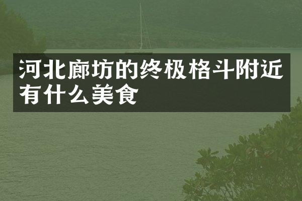 河北廊坊的终极格斗附近有什么美食
