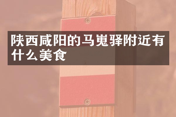 陕西咸阳的马嵬驿附近有什么美食