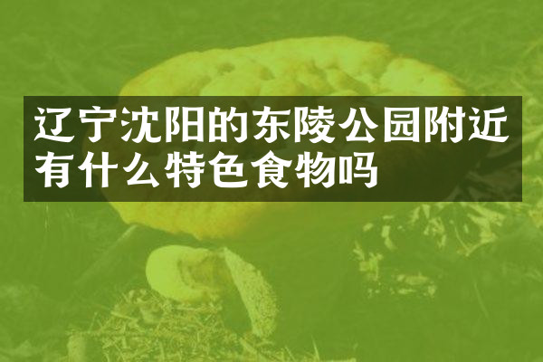 辽宁沈阳的东陵公园附近有什么特色食物吗