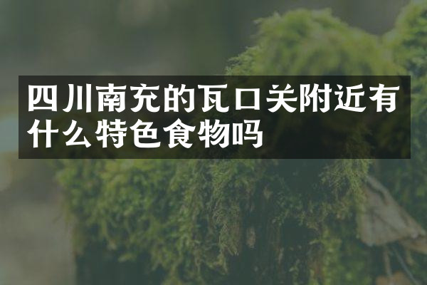 四川南充的瓦口关附近有什么特色食物吗