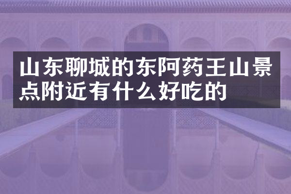 山东聊城的东阿药王山景点附近有什么好吃的
