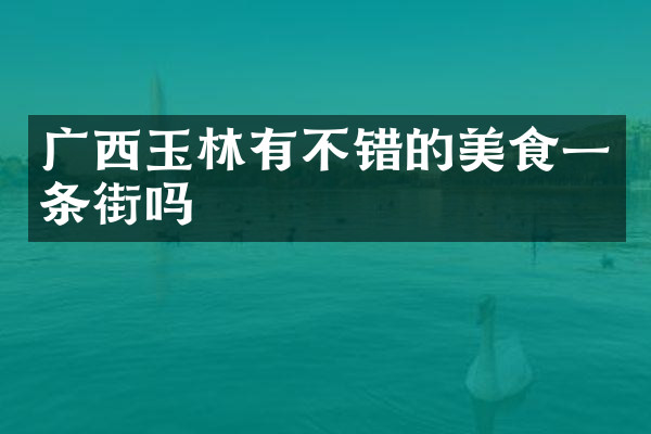 广西玉林有不错的美食一条街吗