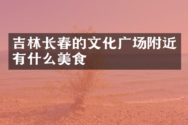 吉林长春的文化广场附近有什么美食