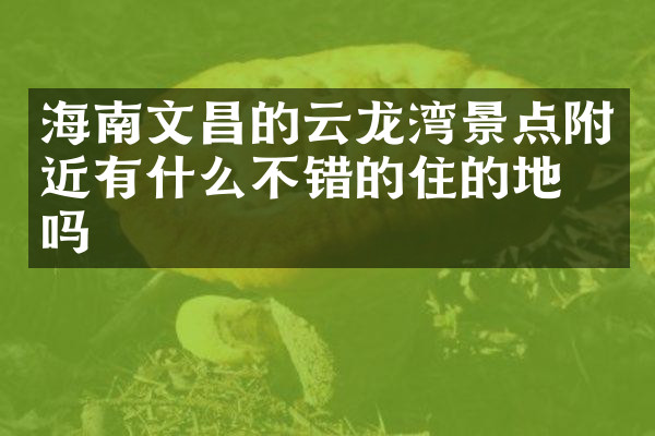 海南文昌的云龙湾景点附近有什么不错的住的地方吗