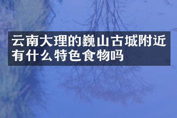 云南大理的巍山古城附近有什么特色食物吗