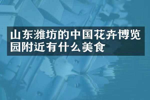 山东潍坊的中国花卉博览园附近有什么美食