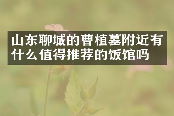 山东聊城的曹植墓附近有什么值得推荐的饭馆吗