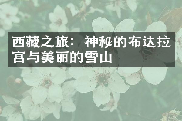 西藏之旅：神秘的布达拉宫与美丽的雪山
