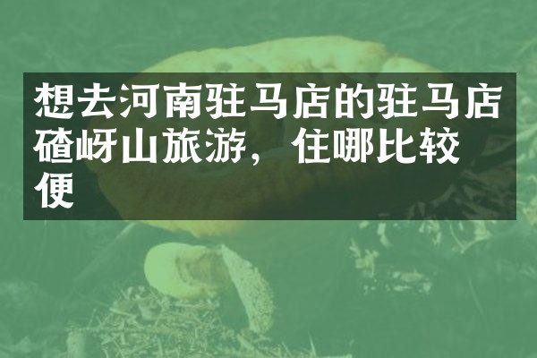 想去河南驻马店的驻马店碴岈山旅游，住哪比较方便
