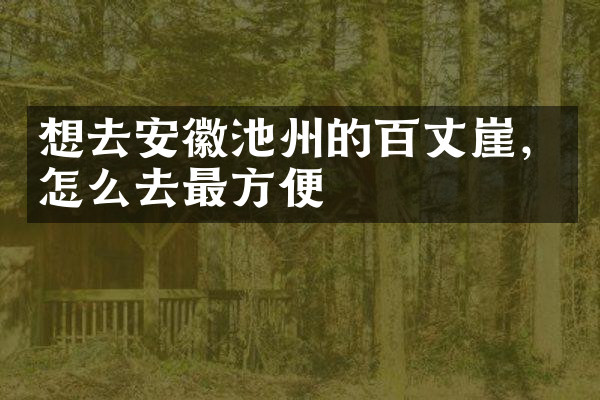 想去安徽池州的百丈崖，怎么去最方便