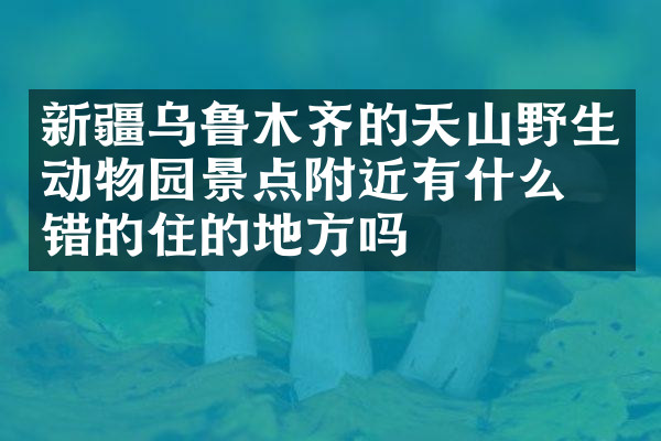 新疆乌鲁木齐的天山野生动物园景点附近有什么不错的住的地方吗