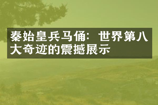 秦始皇兵马俑：世界第八大奇迹的震撼展示