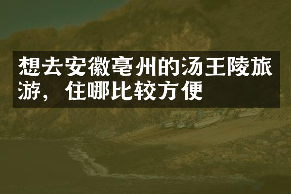 想去安徽亳州的汤王陵旅游，住哪比较方便