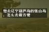 想去辽宁葫芦岛的张山岛，怎么去最方便