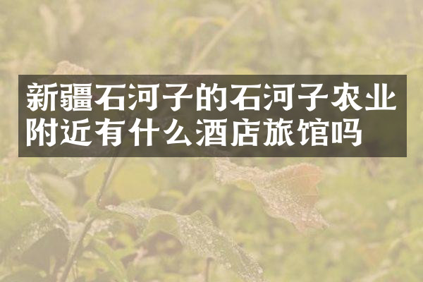 新疆石河子的石河子农业附近有什么酒店旅馆吗