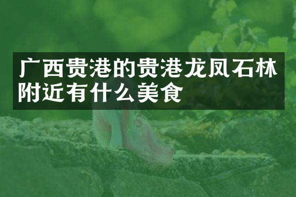 广西贵港的贵港龙凤石林附近有什么美食