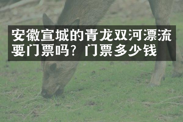 安徽宣城的青龙双河漂流要门票吗？门票多少钱？