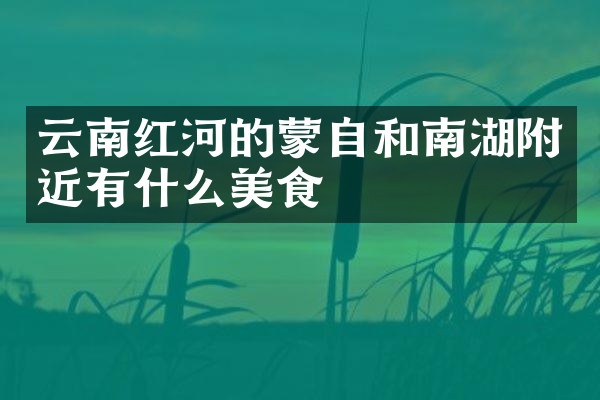 云南红河的蒙自和南湖附近有什么美食