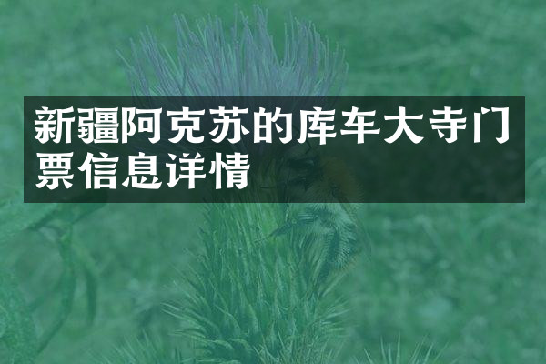 新疆阿克苏的库车大寺门票信息详情