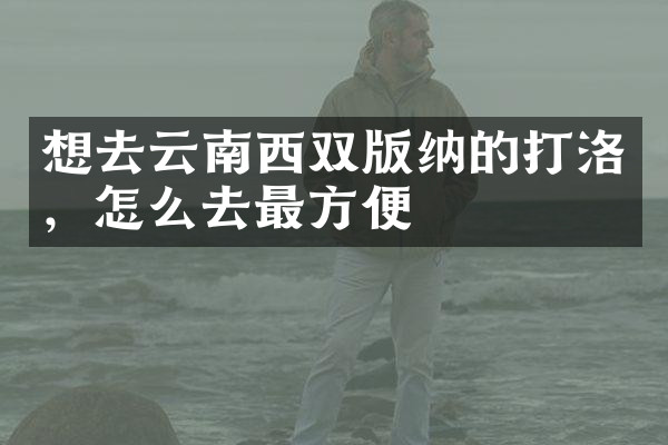 想去云南西双版纳的打洛，怎么去最方便