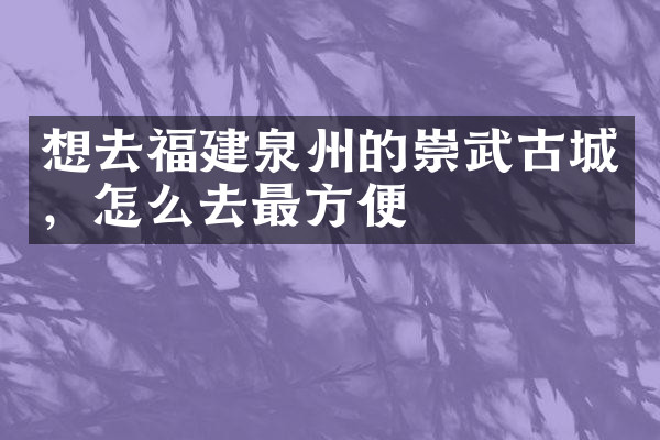 想去福建泉州的崇武古城，怎么去最方便