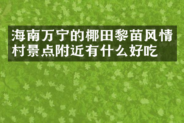 海南万宁的椰田黎苗风情村景点附近有什么好吃的