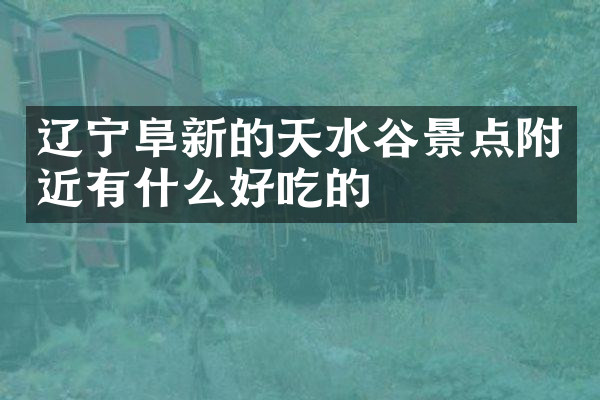 辽宁阜新的天水谷景点附近有什么好吃的