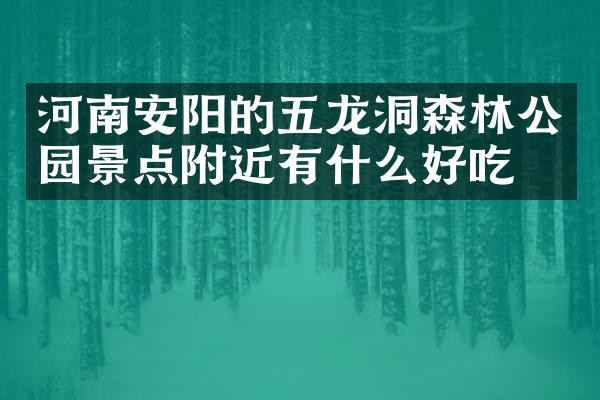 河南安阳的五龙洞森林公园景点附近有什么好吃的