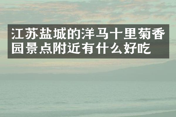 江苏盐城的洋马十里菊香园景点附近有什么好吃的