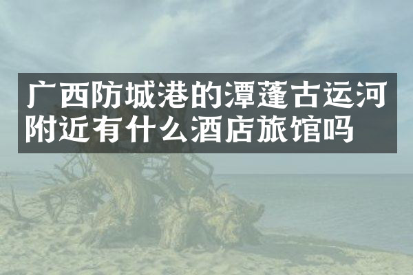 广西防城港的潭蓬古运河附近有什么酒店旅馆吗