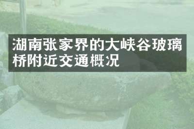 湖南张家界的大峡谷玻璃桥附近交通概况