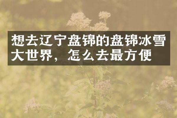 想去辽宁盘锦的盘锦冰雪大世界，怎么去最方便