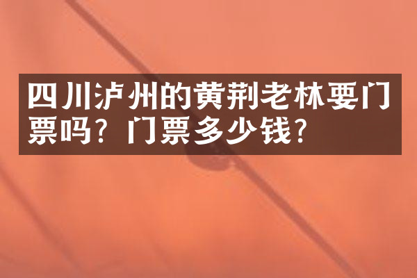 四川泸州的黄荆老林要门票吗？门票多少钱？