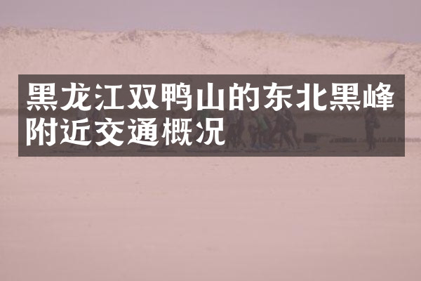 黑龙江双鸭山的东北黑峰附近交通概况
