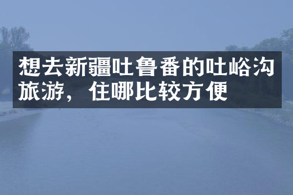 想去新疆吐鲁番的吐峪沟旅游，住哪比较方便