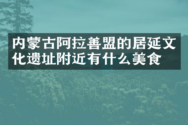 内蒙古阿拉善盟的居延文化遗址附近有什么美食