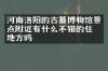 河南洛阳的古墓博物馆景点附近有什么不错的住的地方吗