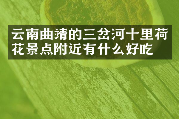 云南曲靖的三岔河十里荷花景点附近有什么好吃的