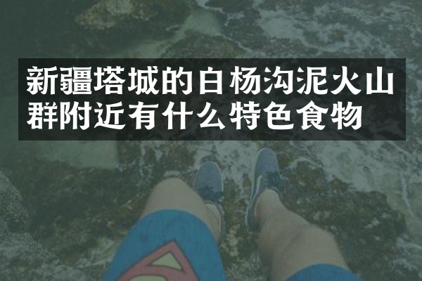新疆塔城的白杨沟泥火山群附近有什么特色食物吗
