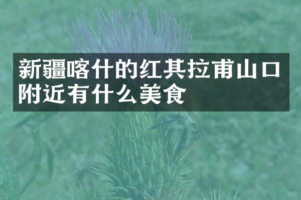 新疆喀什的红其拉甫山口附近有什么美食
