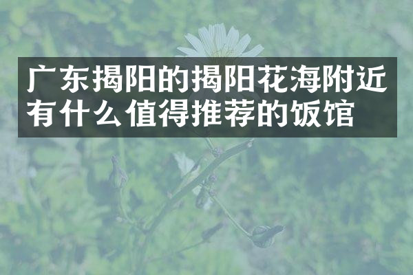 广东揭阳的揭阳花海附近有什么值得推荐的饭馆吗