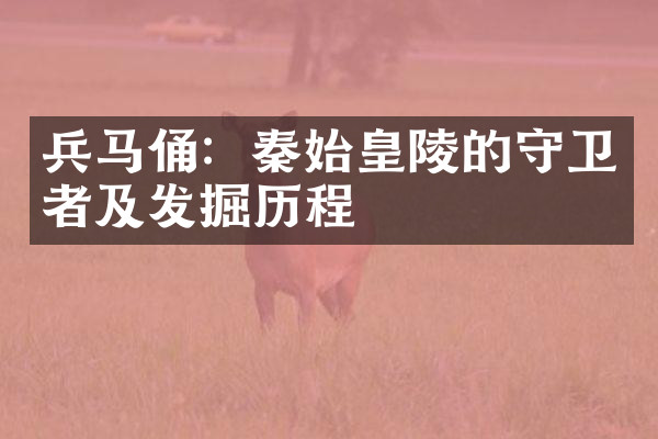 兵马俑：秦始皇陵的守卫者及发掘历程