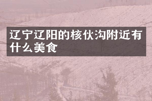 辽宁辽阳的核伙沟附近有什么美食