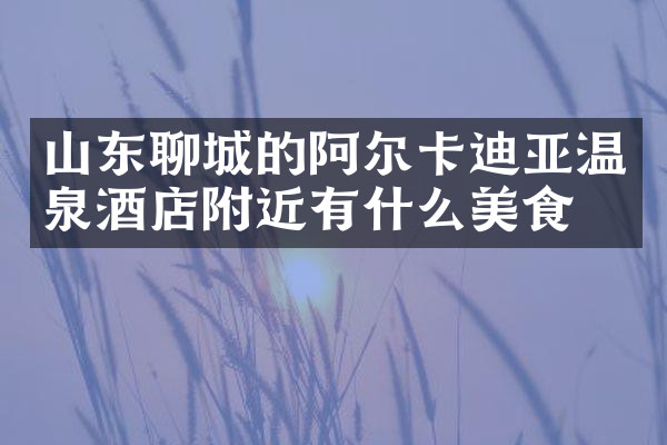 山东聊城的阿尔卡迪亚温泉酒店附近有什么美食