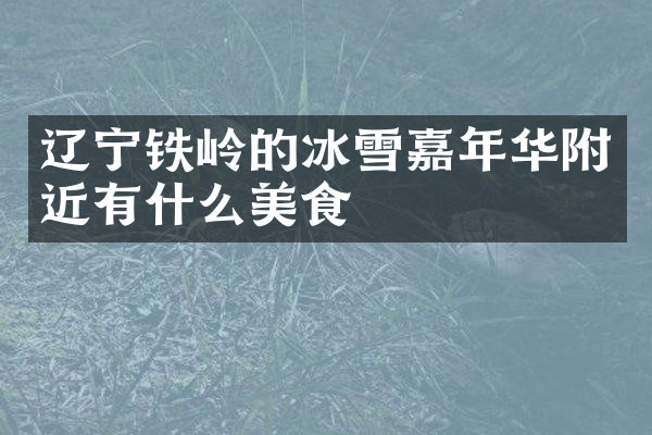 辽宁铁岭的冰雪嘉年华附近有什么美食