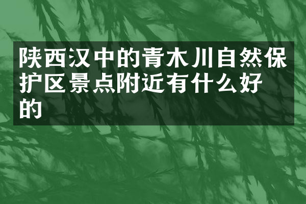 陕西汉中的青木川自然保护区景点附近有什么好吃的