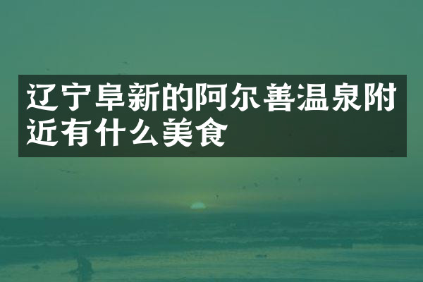 辽宁阜新的阿尔善温泉附近有什么美食
