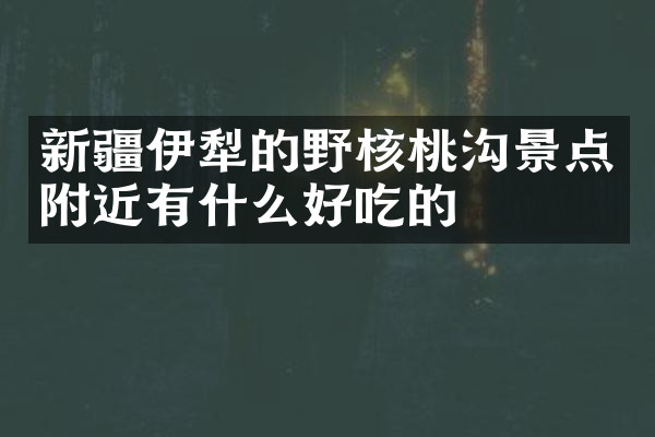 新疆伊犁的野核桃沟景点附近有什么好吃的