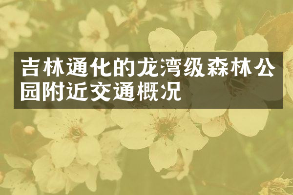 吉林通化的龙湾级森林公园附近交通概况