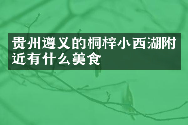 贵州遵义的桐梓小西湖附近有什么美食